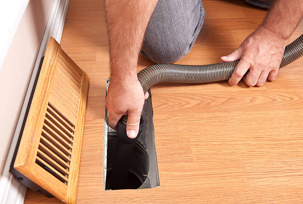 Best Mold and Mildew Removal from Ducts in East Lake, FL