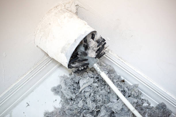 Best Residential Air Duct Cleaning in East Lake, FL